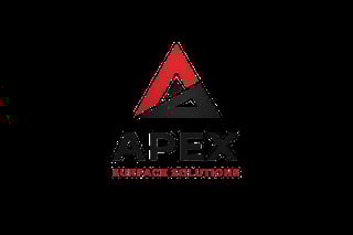 APEX Business Solutions logo featuring red and dark gray triangular design with company name and tagline